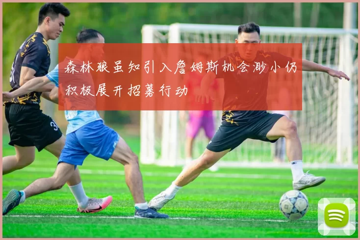 森林狼虽知引入詹姆斯机会渺小仍积极展开招募行动