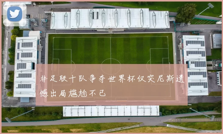 非足联十队争夺世界杯仅突尼斯遗憾出局尴尬不已