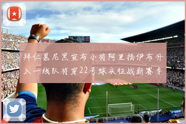 拜仁慕尼黑宣布小将阿里扬伊布升入一线队将穿22号球衣征战新赛季